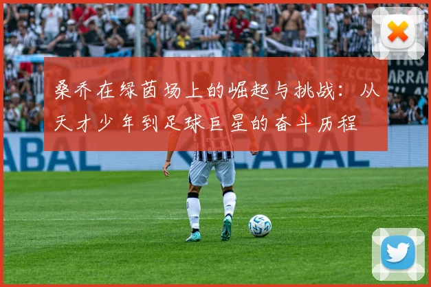 桑乔在绿茵场上的崛起与挑战：从天才少年到足球巨星的奋斗历程