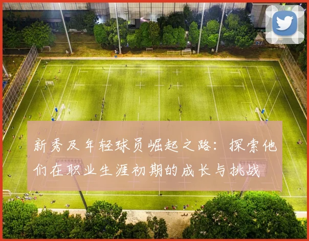 新秀及年轻球员崛起之路：探索他们在职业生涯初期的成长与挑战
